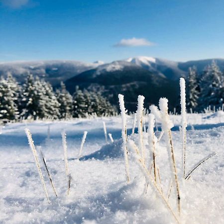 スピンドレルフ・ムリンPanorama 19アパートメント エクステリア 写真